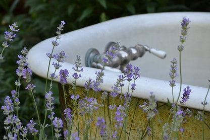 Soothing Lavender & Coconut Bath Salts